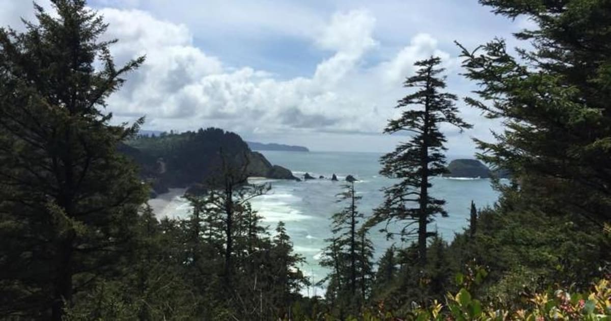 Volunteers collecting trash and debris along scenic Oregon coastal beach with ocean waves