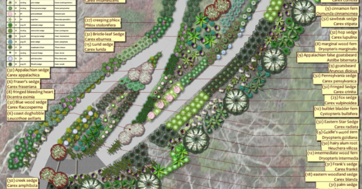 North Carolina Garden Plants 1,000+ Native Species This Spring