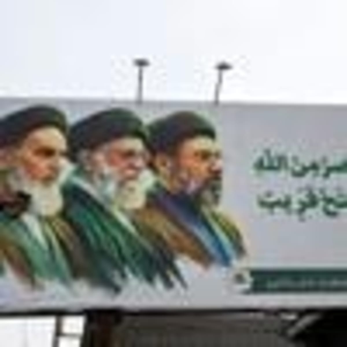 Rescued Circus Bear Retta Finds Freedom in Armenia - Image 4