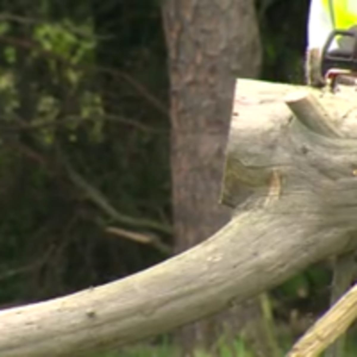 30 Volunteers Clear Tornado Debris for Youngstown Seniors