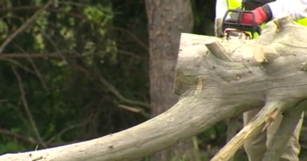 30 Volunteers Clear Tornado Debris for Youngstown Seniors - Image 2