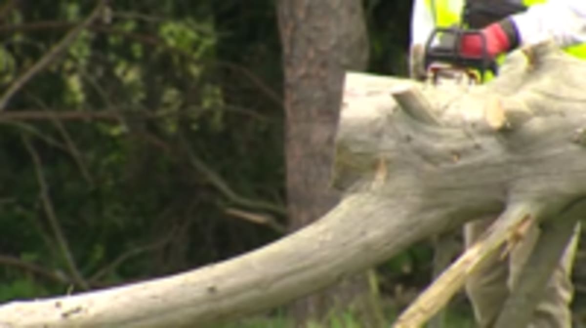 30 Volunteers Clear Tornado Debris for Youngstown Seniors - Image 3