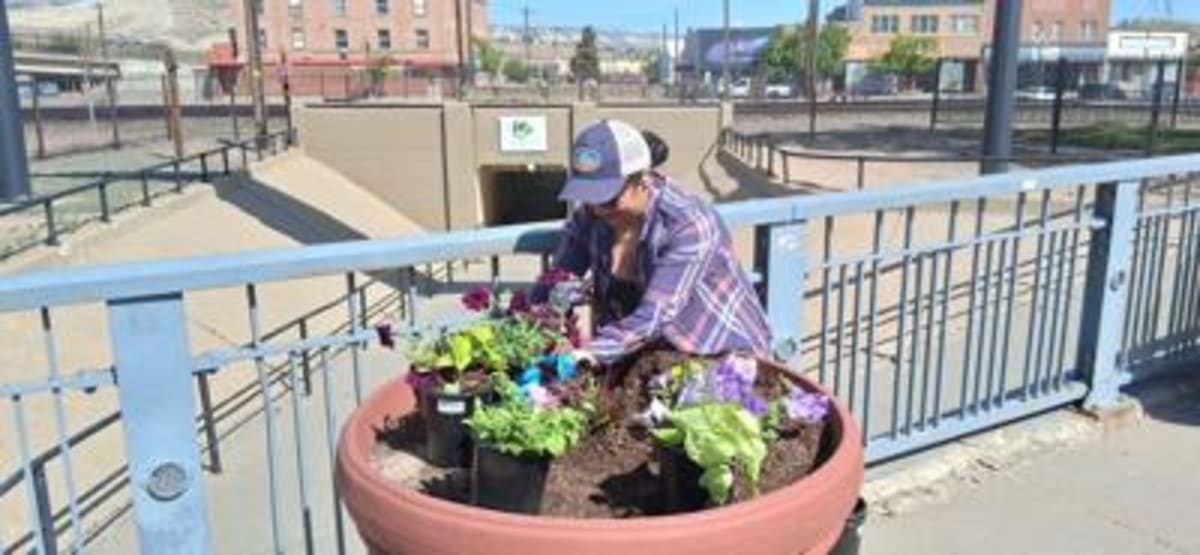 Rock Springs Volunteers to Plant 50 Downtown Planters - Image 3