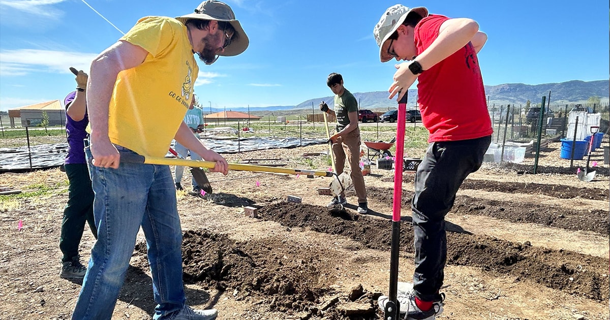 Casper Urban Farm Donated 5,000 Pounds of Fresh Produce