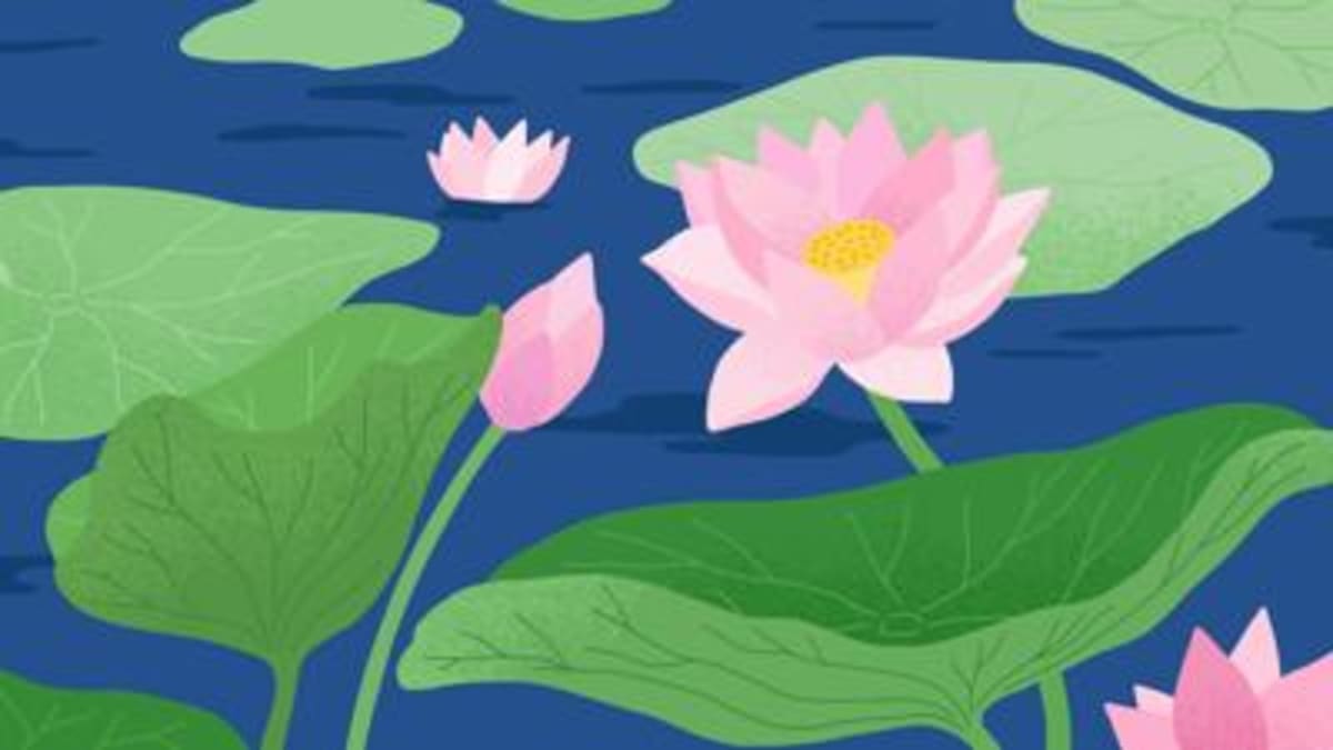 Seattle App Challenge Turns Neighbors Into Scientists - Image 3