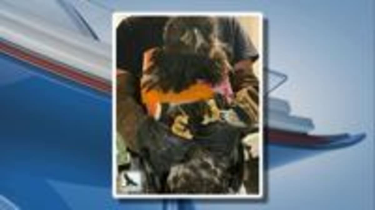 Snow the Eaglet Recovering After Nest Falls in Michigan - Image 4