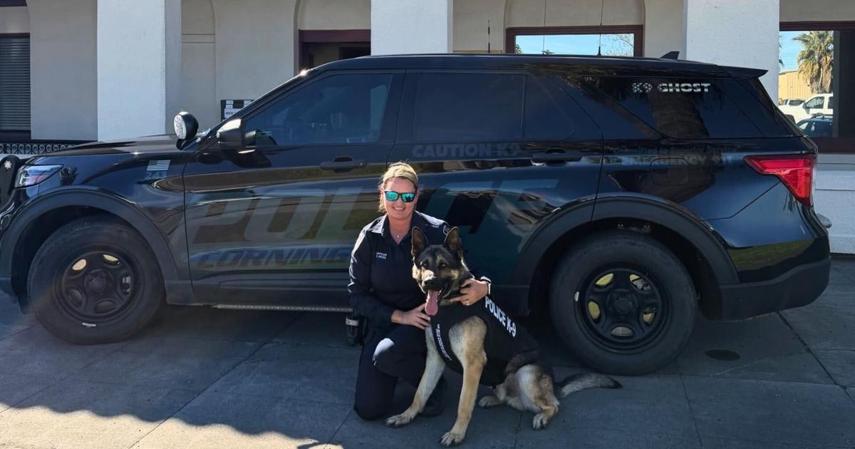Police K9 Ghost wearing protective bulletproof vest donated by nonprofit organization
