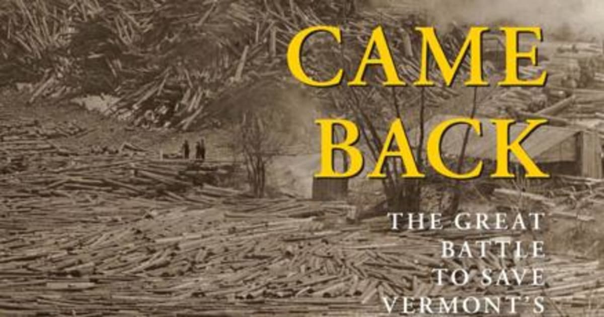 Vermont's Forests Rose From 25% to 75% in a Century - Image 2