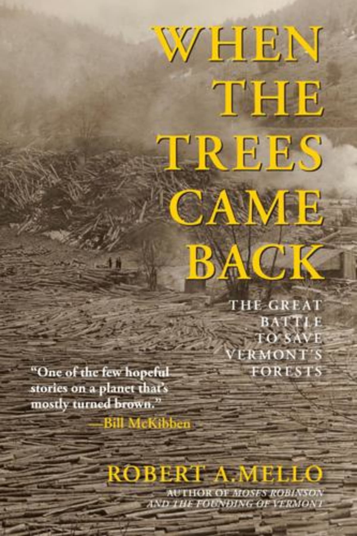 Vermont's Forests Rose From 25% to 75% in a Century - Image 5