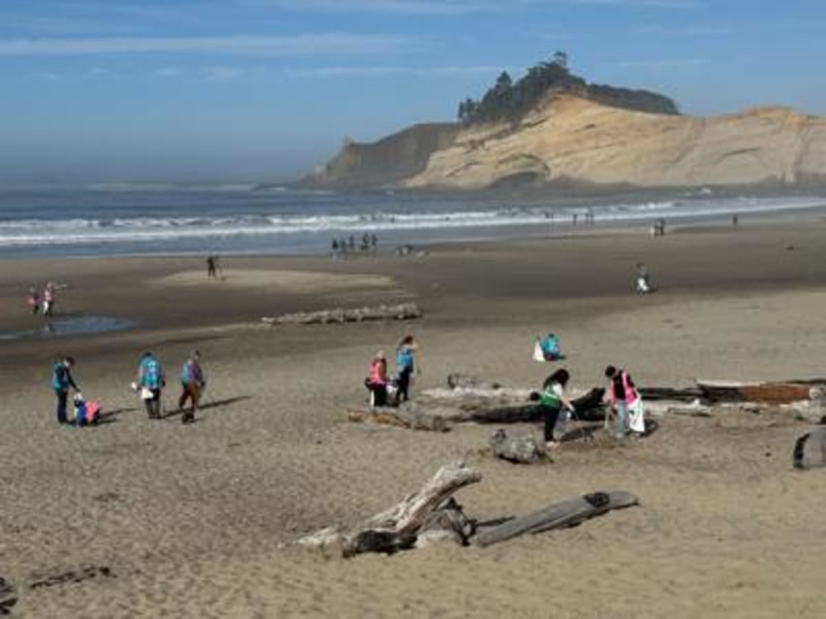 Oregon Beach Cleanup Unites Thousands This September - Image 3