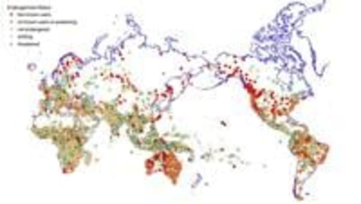 World Had Thousands More Languages 2,000 Years Ago - Image 2