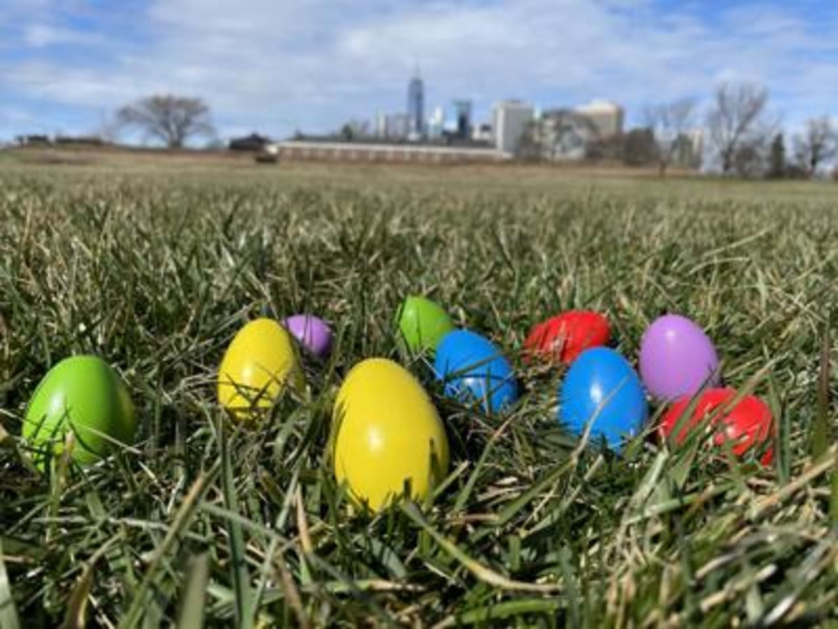 Jackson Needs You: Easter Egg Hunt Volunteers Wanted - Image 2