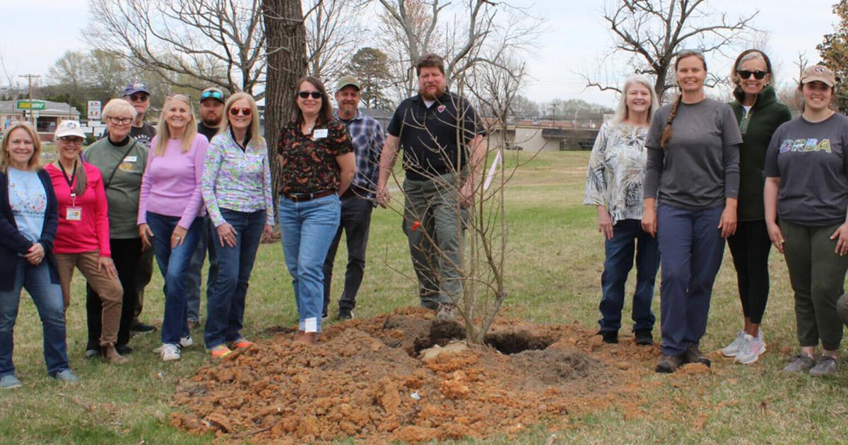 Community volunteers planting young trees at Ballou Park in Danville during annual reforestation event