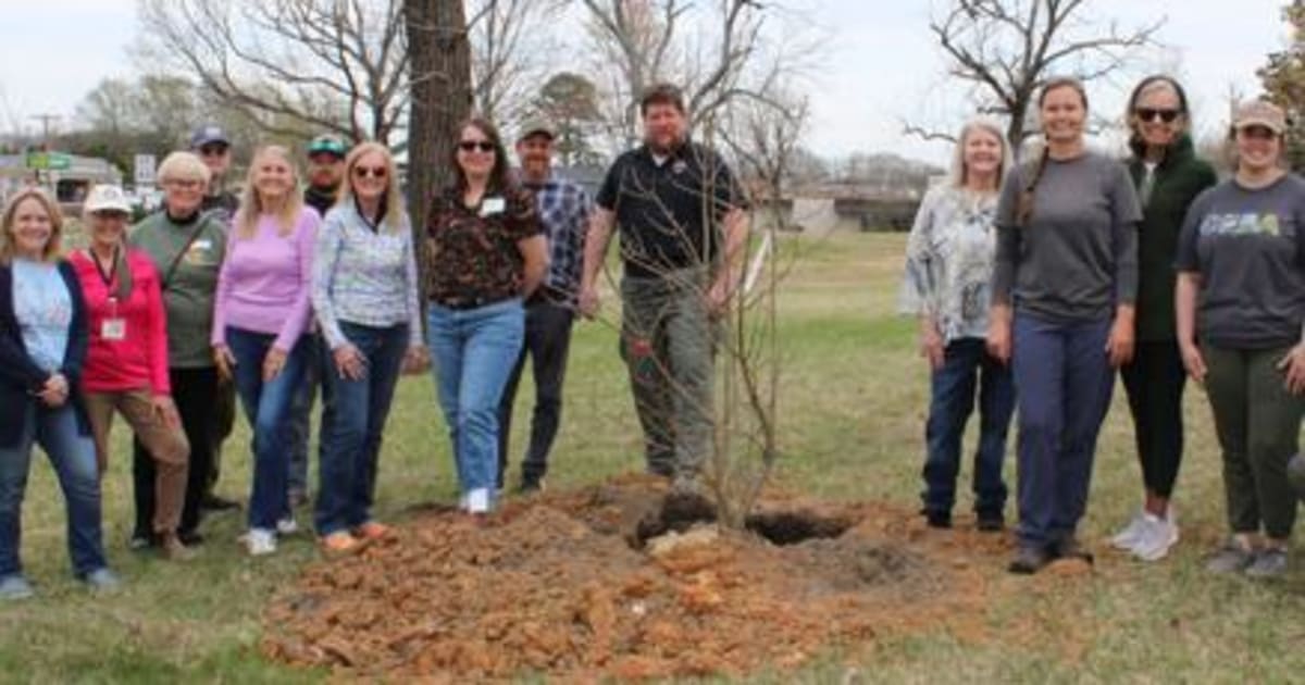 Danville Plants 6 Trees in 10-Year Park Revival Project - Image 2
