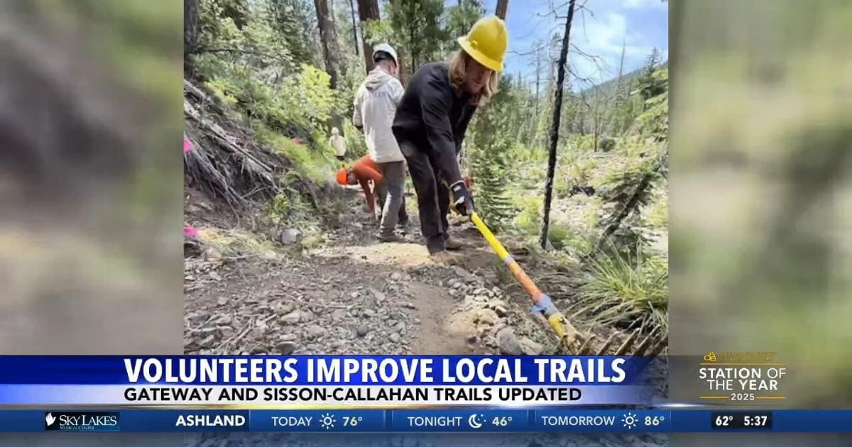 ** Volunteers working together on outdoor trail maintenance alongside forest service staff members