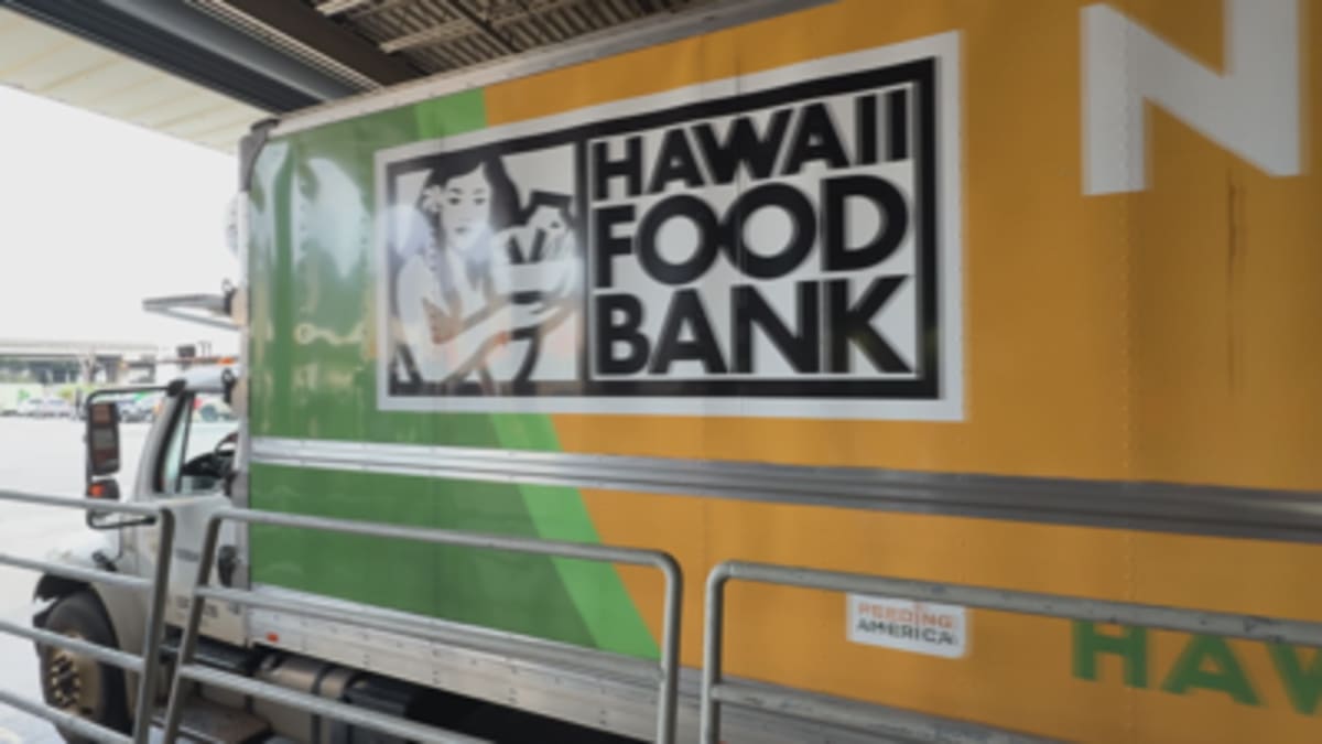 400+ Volunteers Sort 300K Pounds of Food in Hawaii - Image 3