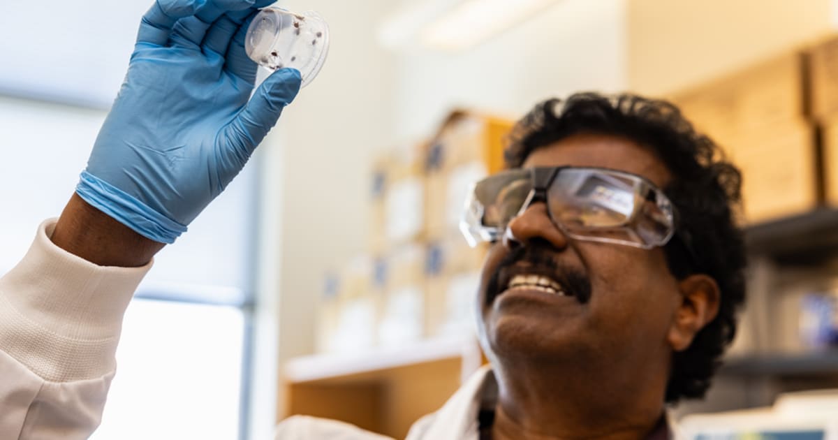Dr. Roman Ganta in laboratory researching tick-borne disease diagnostic breakthrough at University of Missouri