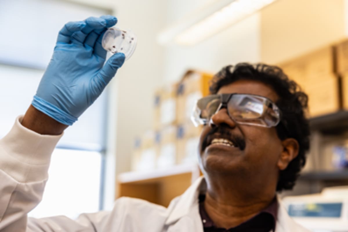 New 40-Minute Test Could Save Kids From Deadly Tick Disease - Image 2