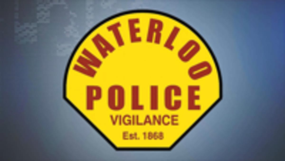 Volunteers Rescue Injured Bald Eagle from Iowa River - Image 4