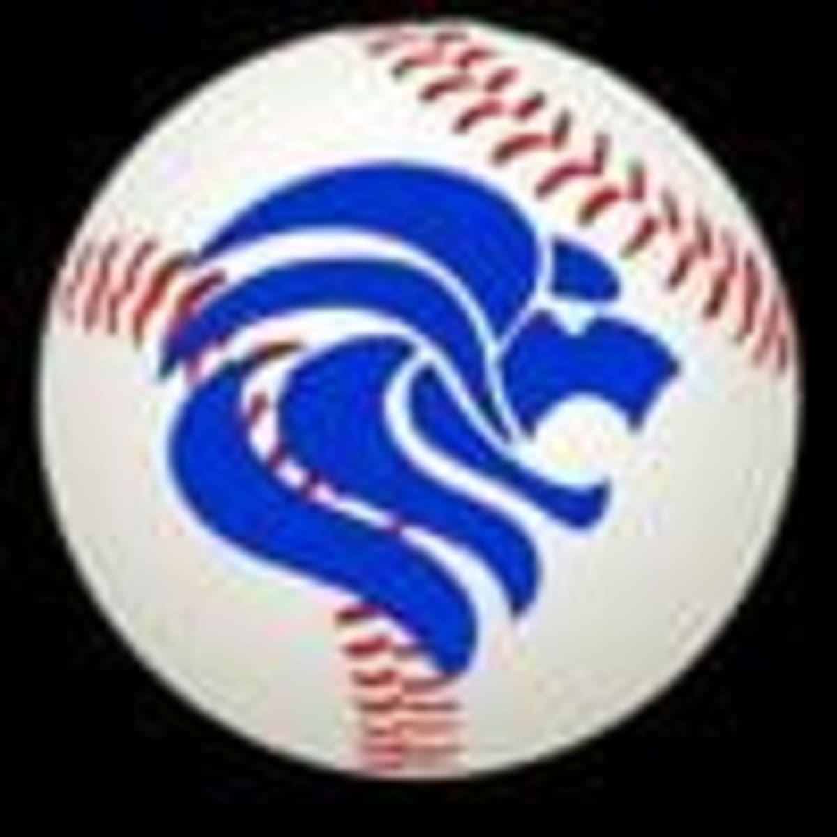 Arkansas Baseball Team Rallies From 8-0 Down to Win 10-9 - Image 3