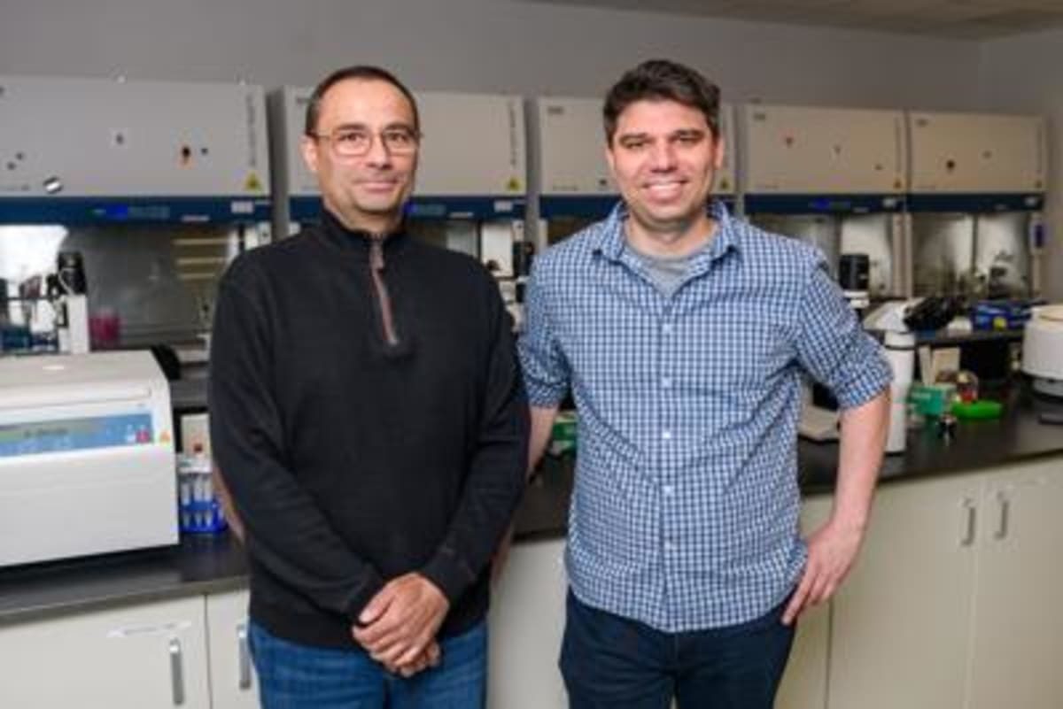 Gene Edit Cuts Huntington's Toxic Proteins 60% in Mice - Image 3