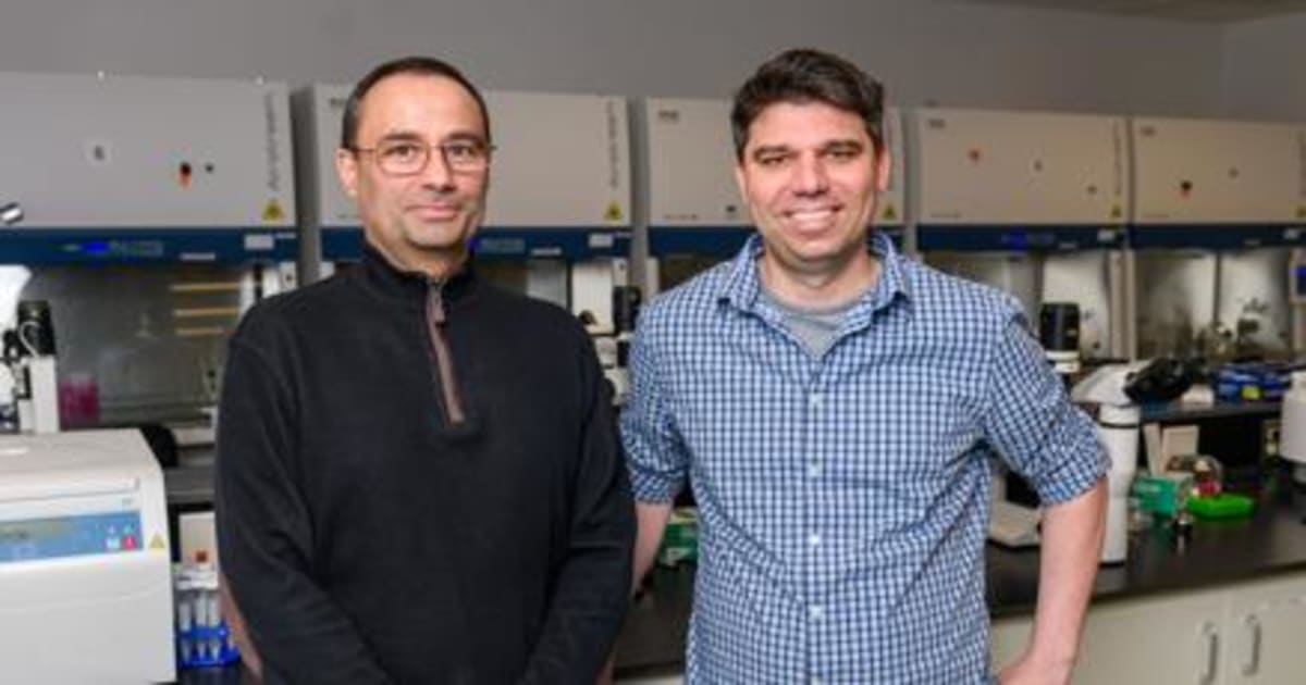 Gene Edit Cuts Huntington's Toxic Proteins 60% in Mice - Image 2