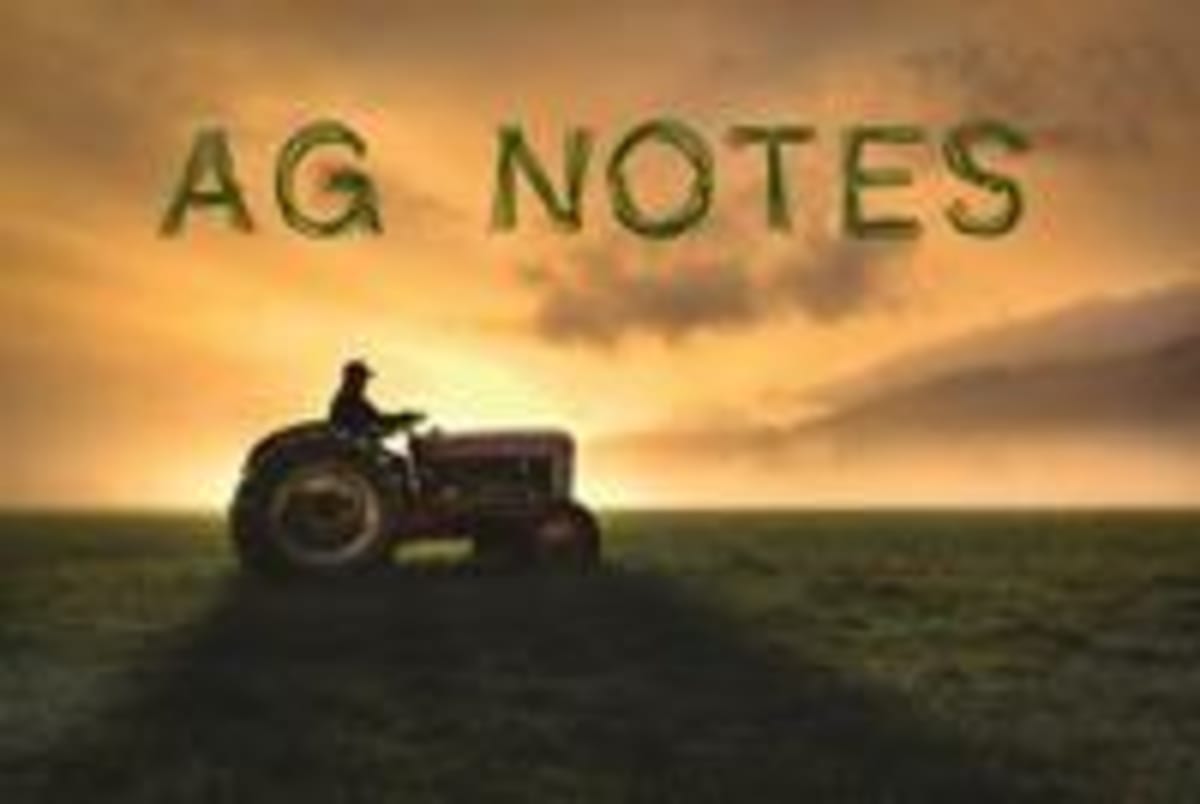 Nebraska Launches Wildfire Recovery Hub After 1M Acres Burn - Image 3