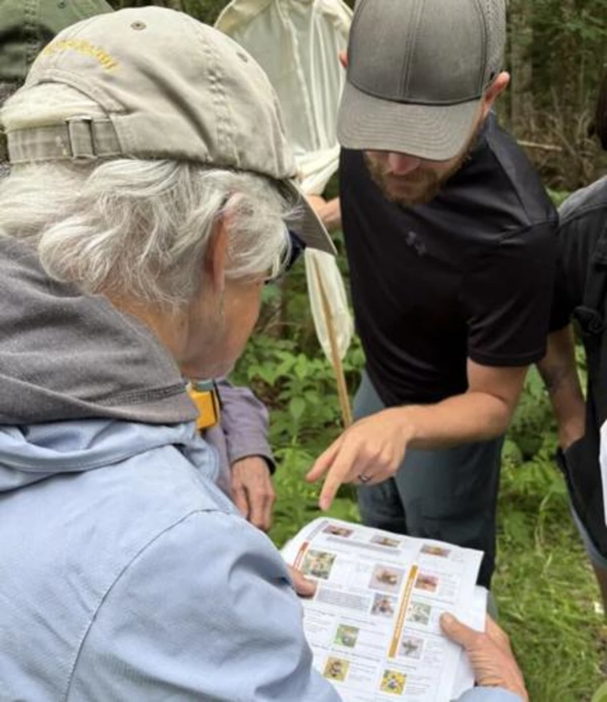 Vermont Volunteers Map Butterflies for Conservation - Image 5
