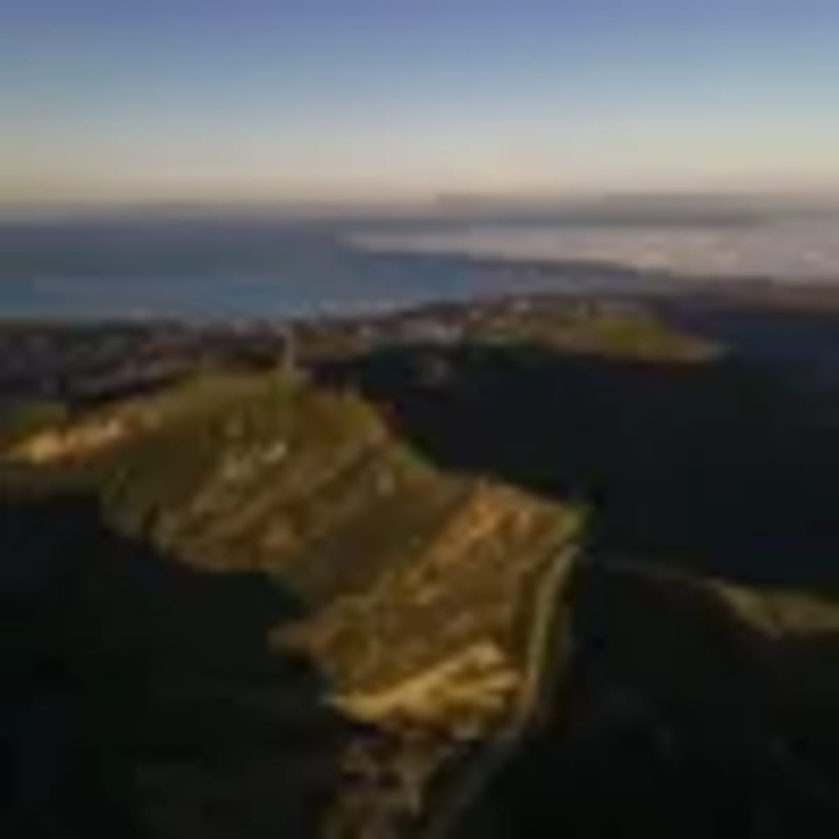 900 Volunteers Clear 30 Miles of California Coast - Image 3