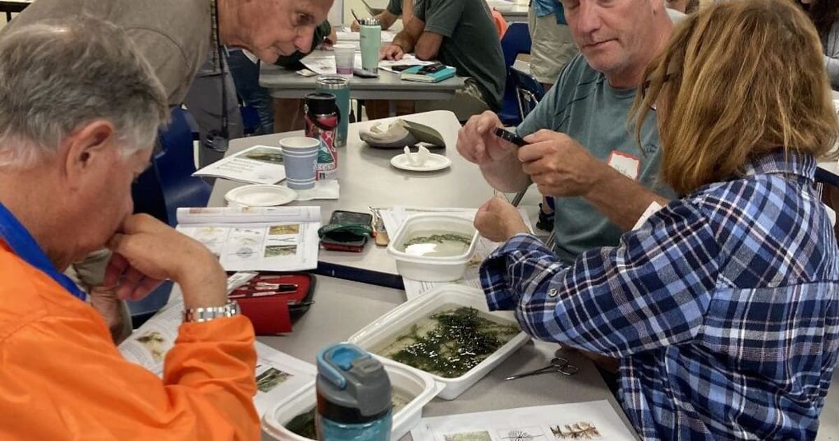 Vermont Needs 800+ Lake Volunteers This Summer