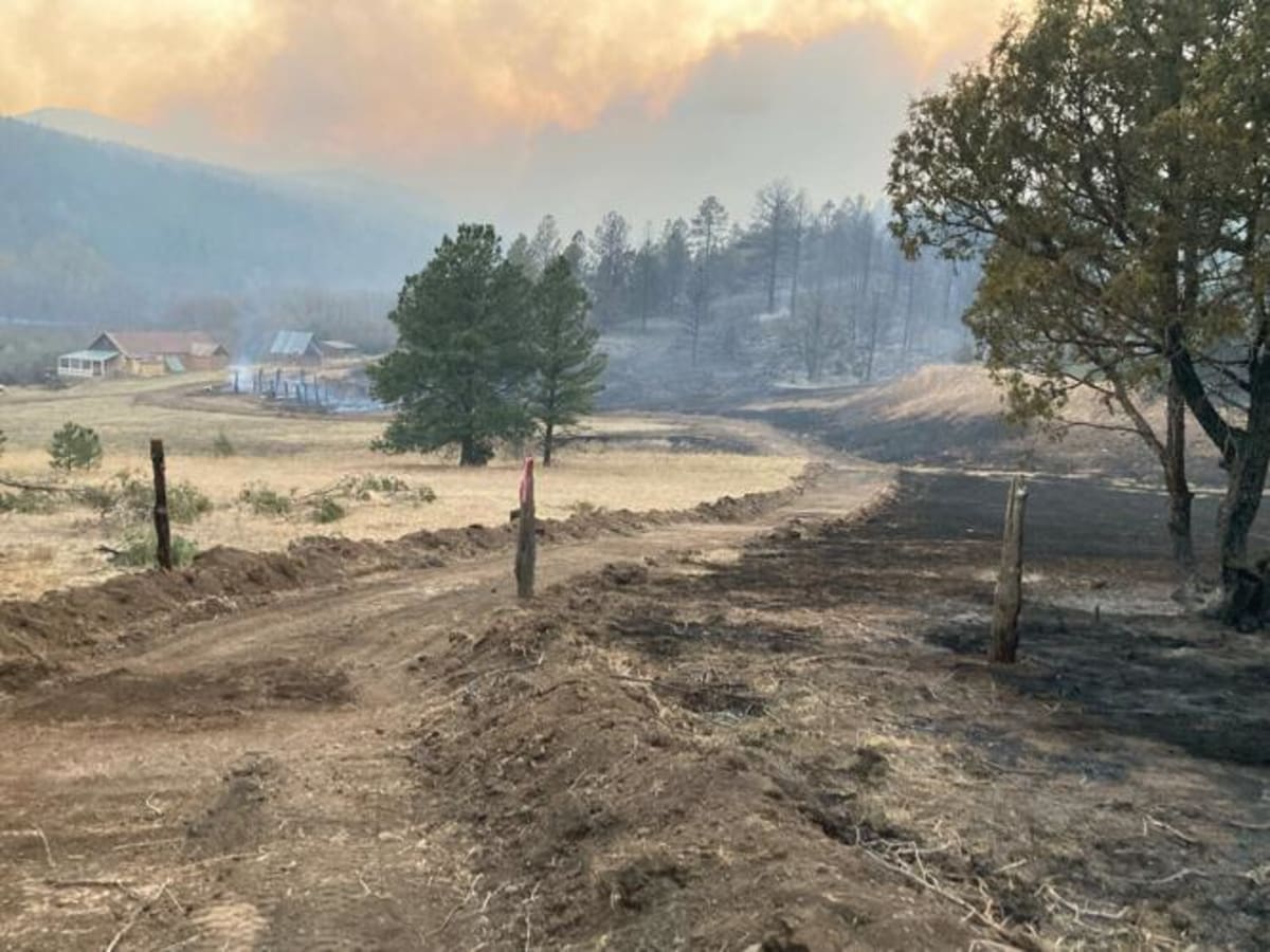 Taos Author Shows How Local Action Can Solve Climate Crisis - Image 5