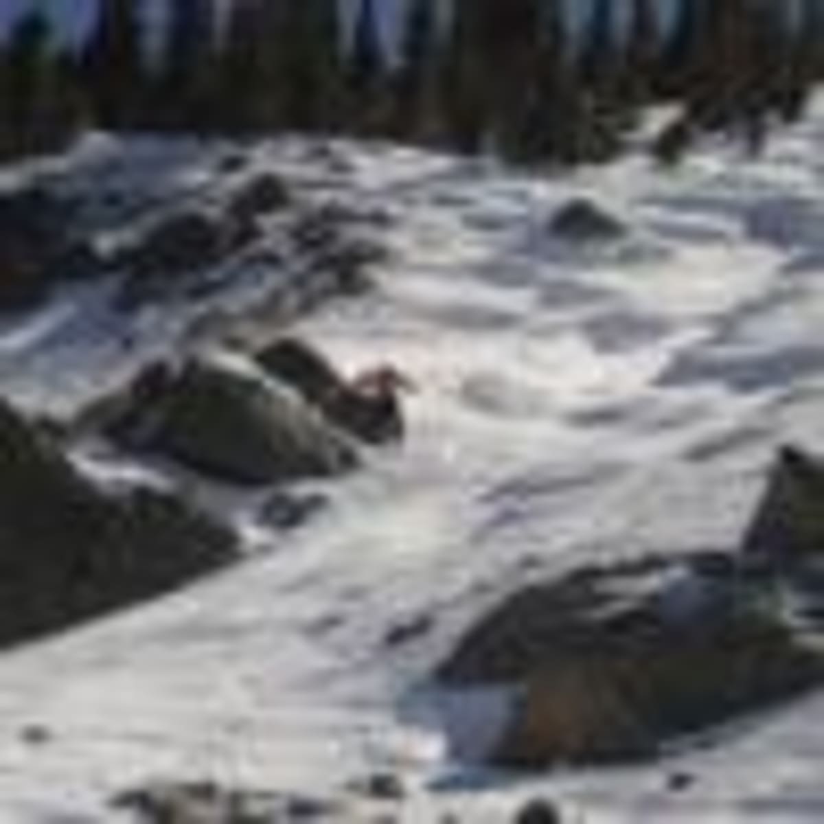 Taos Author Shows How Local Action Can Solve Climate Crisis - Image 3