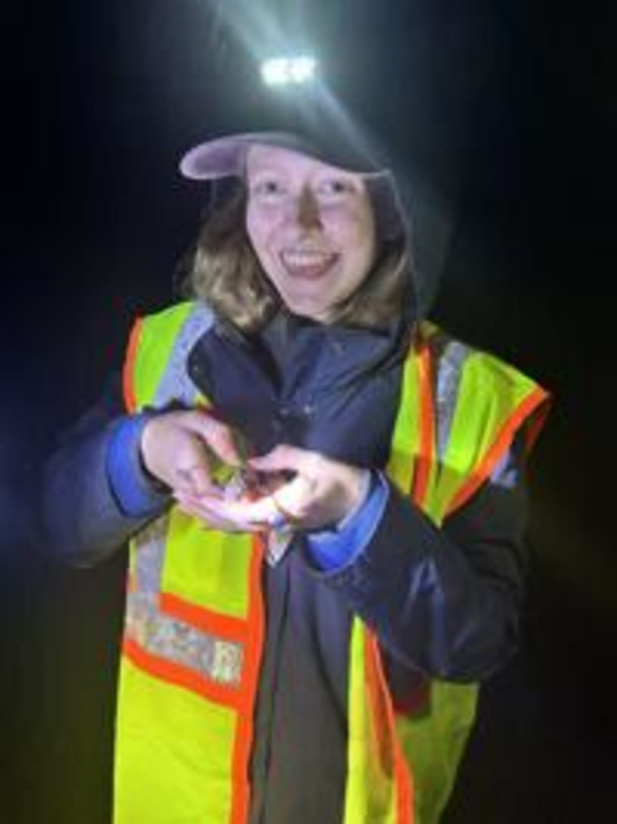 Volunteers Save 100K Frogs, Win Wildlife Tunnels - Image 4