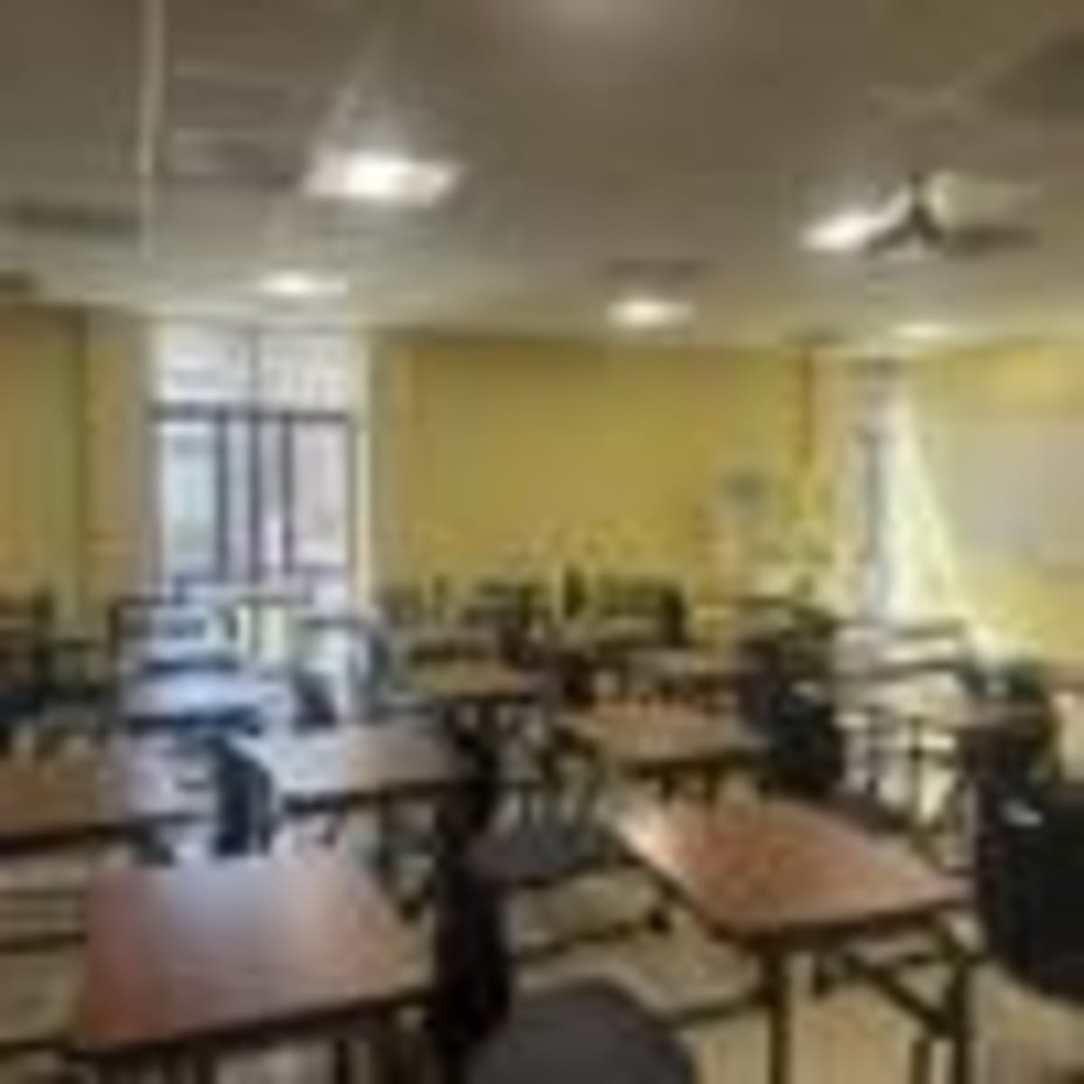 Paducah Students Ditch Spring Break to Feed 900 Families - Image 3