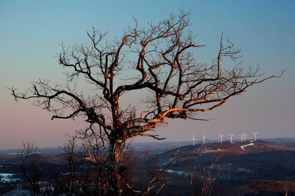 Maine Wind Power Line to Supply 1 Million Homes - Image 2