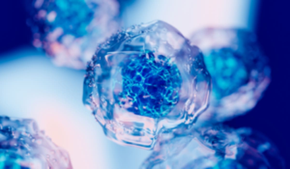 Manitoba Advocate's 50-Year Fight Transforms Diabetes Care - Image 5