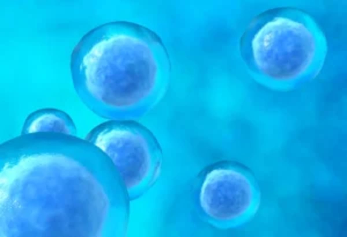 Canada Hosts Free Mental Health Events for Type 1 Diabetics - Image 5