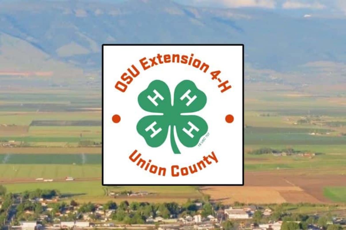 Union County 4-H Opens Two $1,000 Scholarships