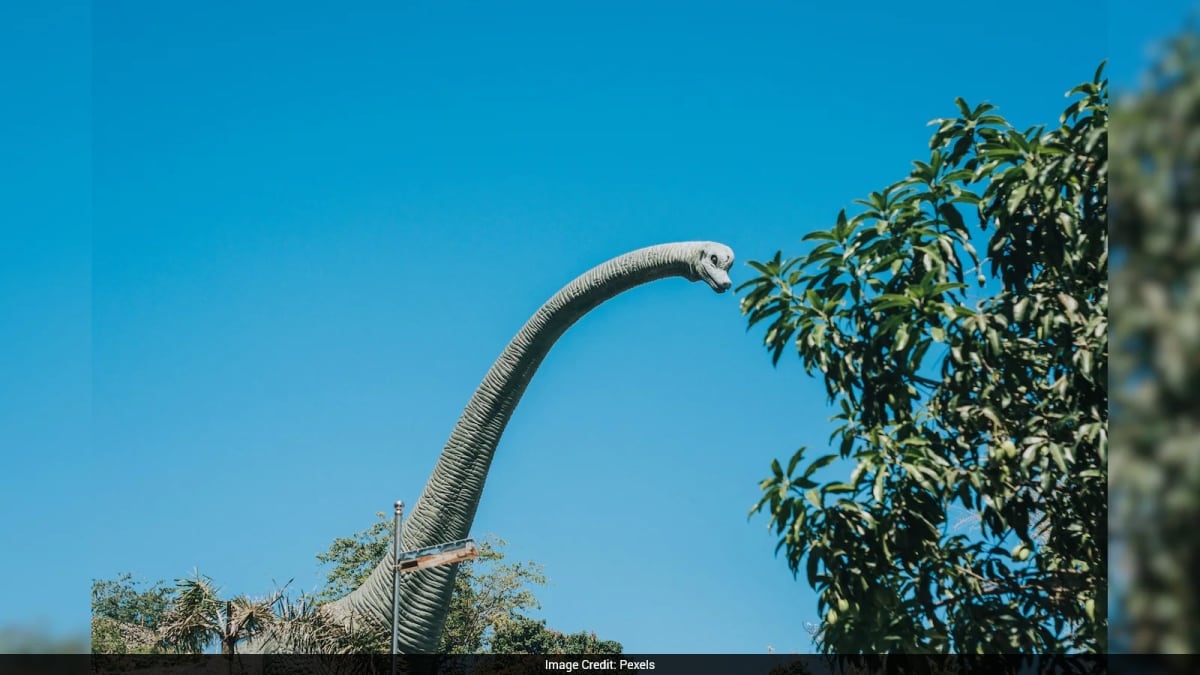 Thailand Discovers New 65-Foot Dinosaur Species