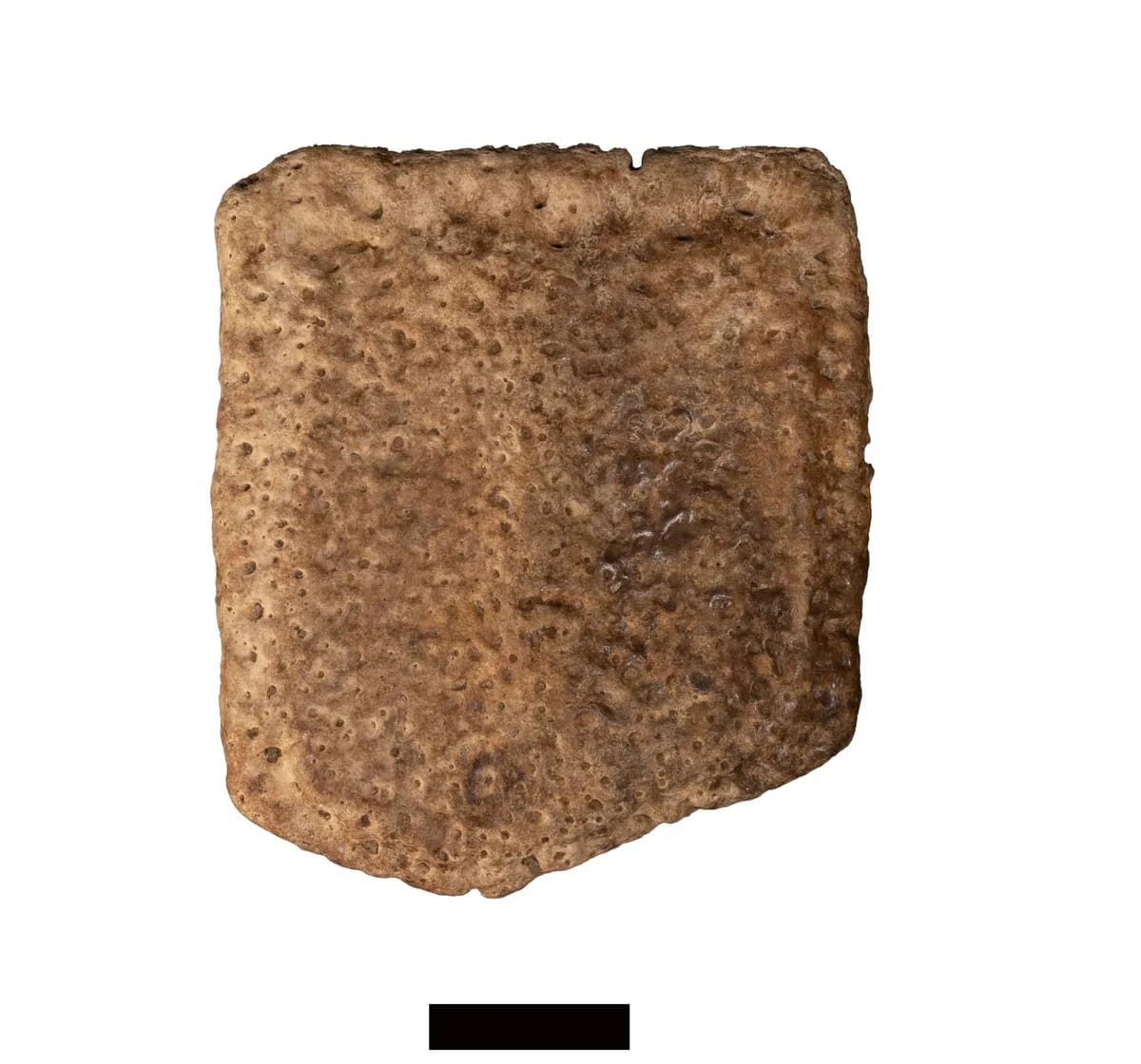 Texas Cave Dive Reveals 100,000-Year-Old Ice Age Secrets - Image 3