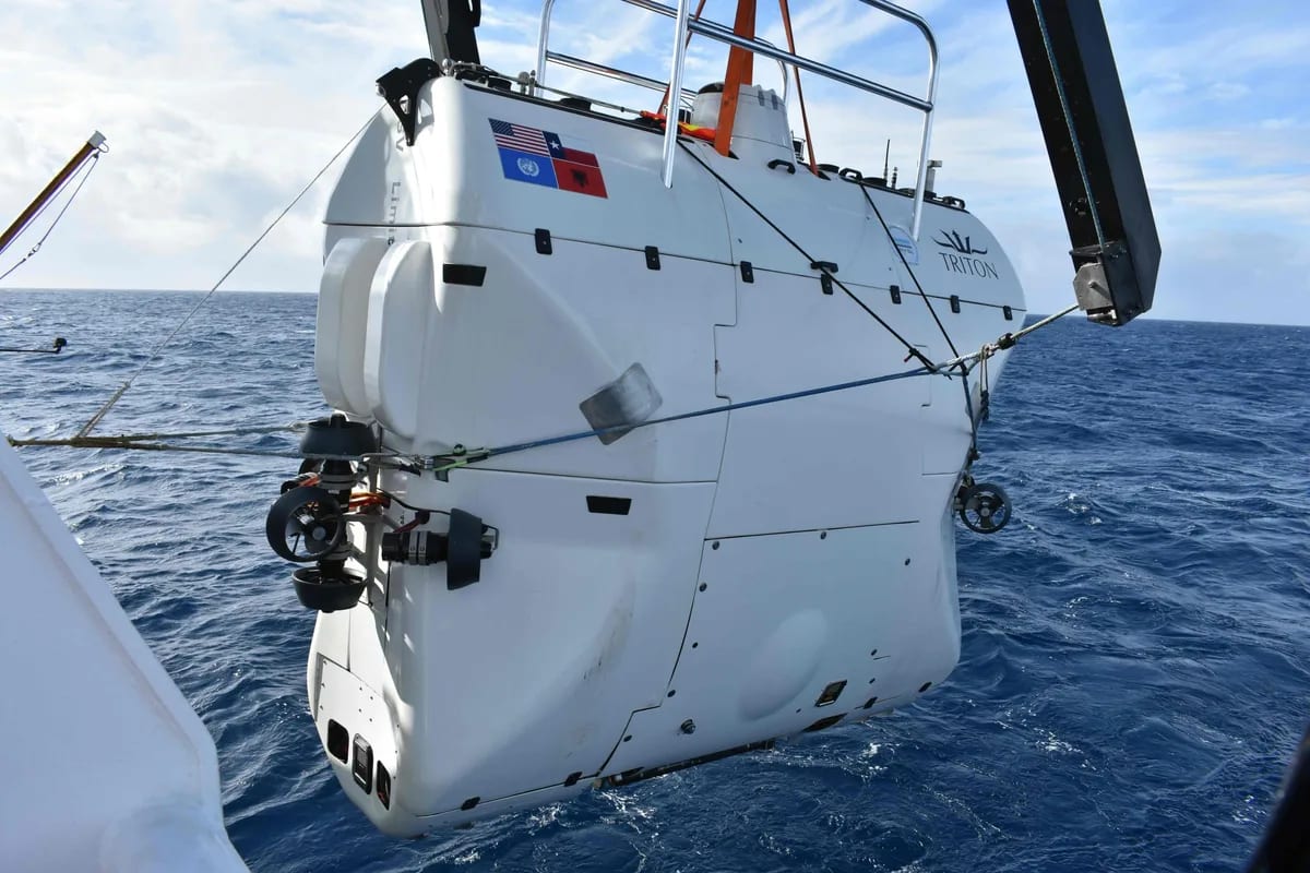 Scientists Film Mystery Creature 9,100m Deep Off Japan - Image 3