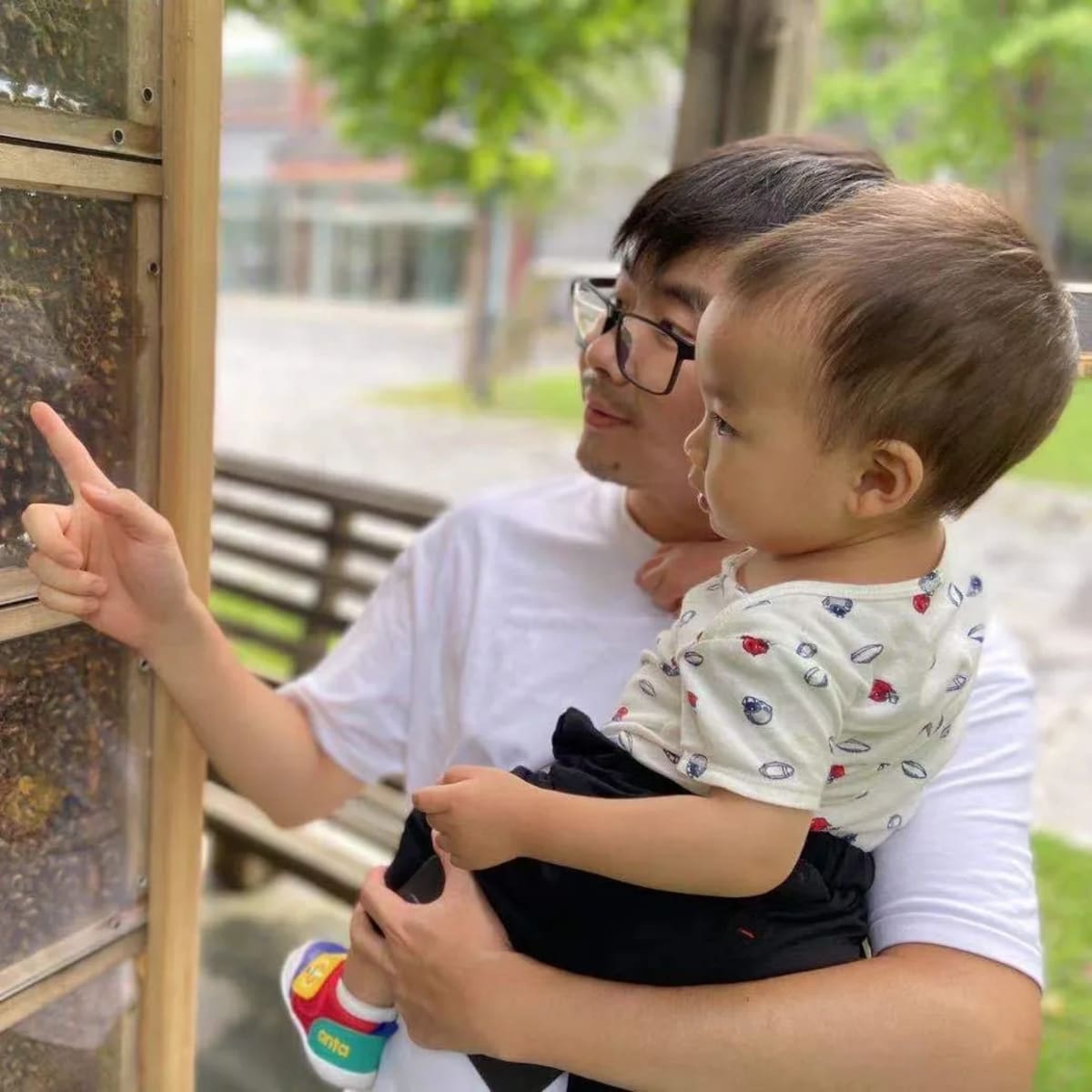 Dad's Toddler Discovers New Type of Honeybee Worker - Image 3