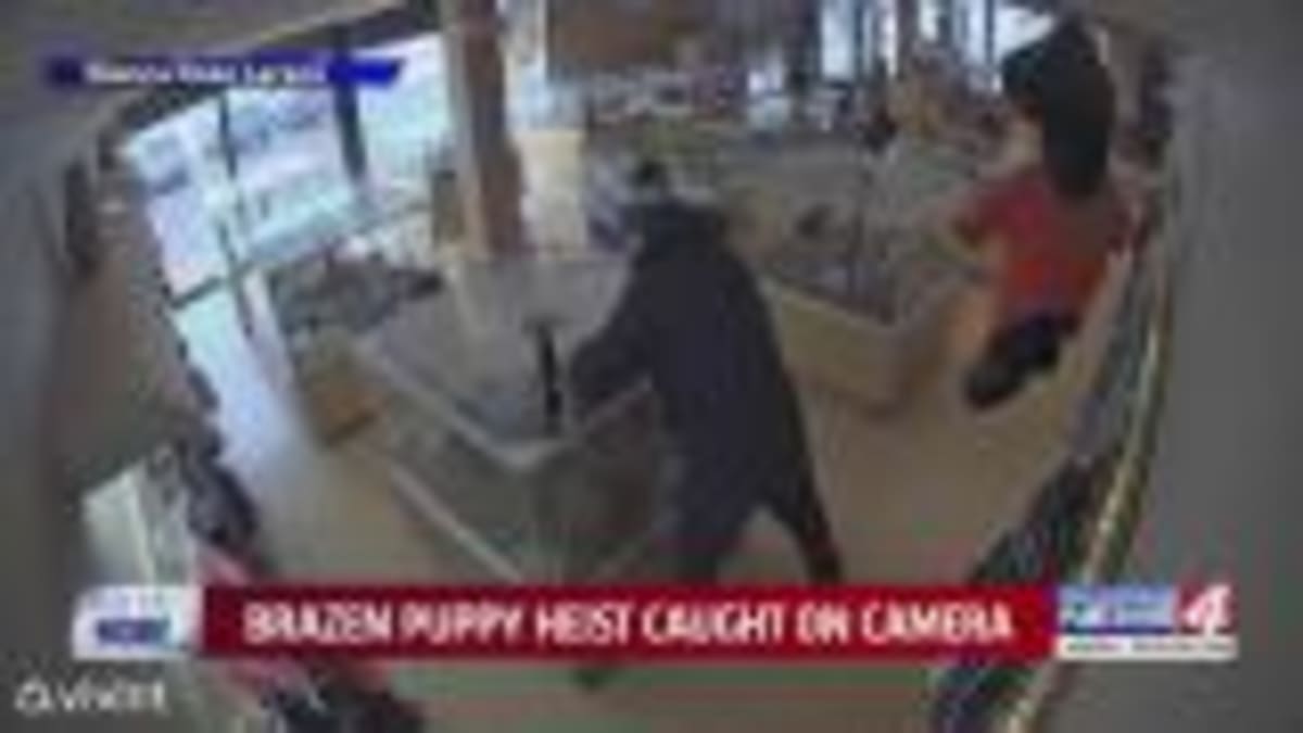 OKC Firefighters Save Worker Stranded 50 Feet on Billboard - Image 4