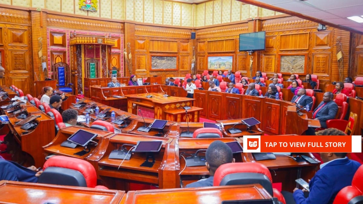 Kenya Creates AI Approval System to Protect Citizens