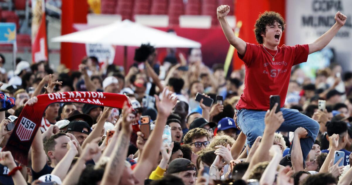 LA Fan Festival Brings World Cup Joy for Just $10