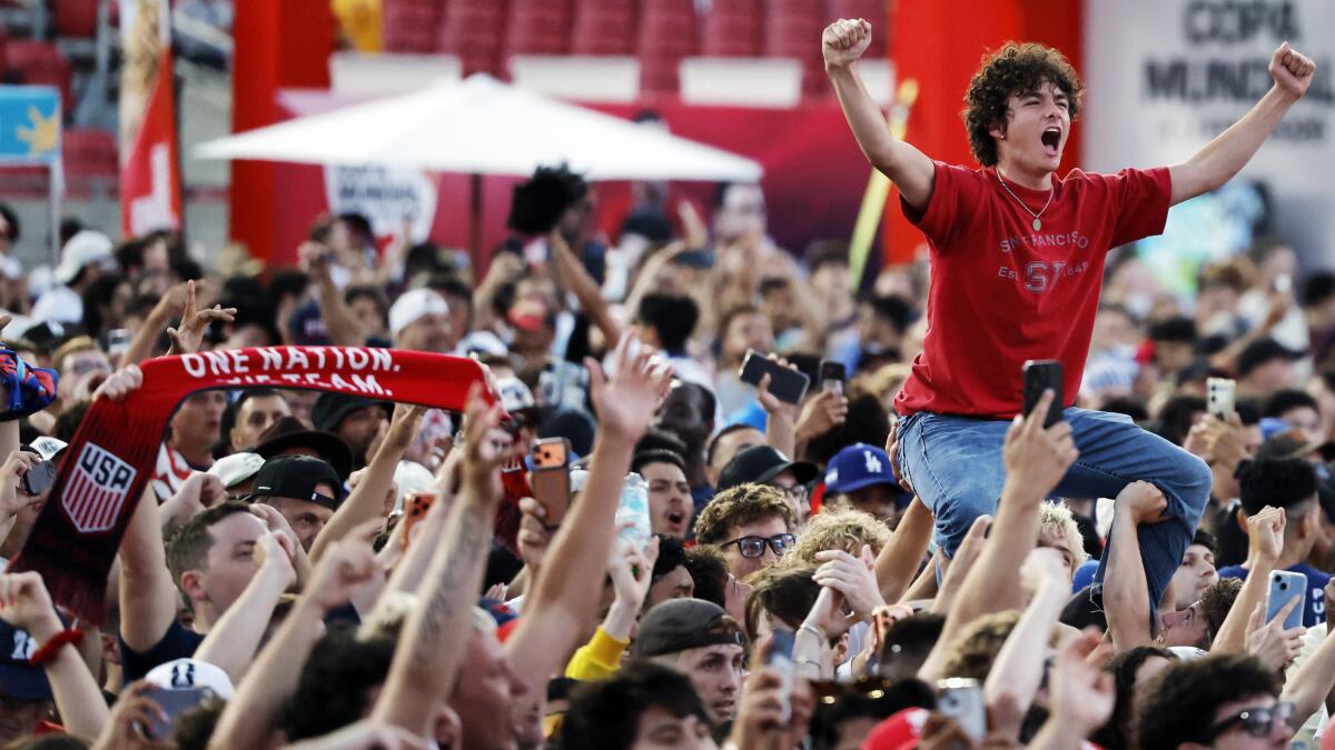 LA Fan Festival Brings World Cup Joy for Just $10 - Image 2