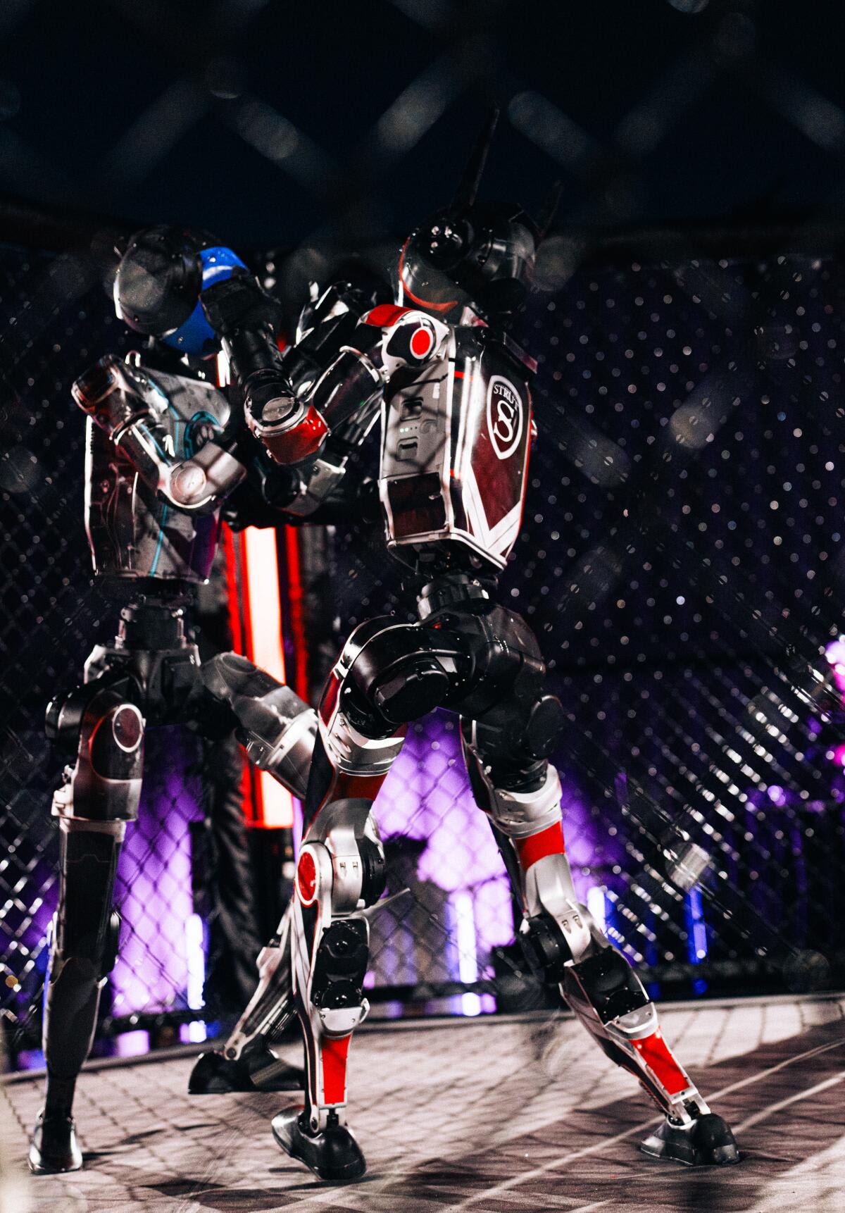 Robot Boxing Match Raises $500K for Animal Rescues - Image 4