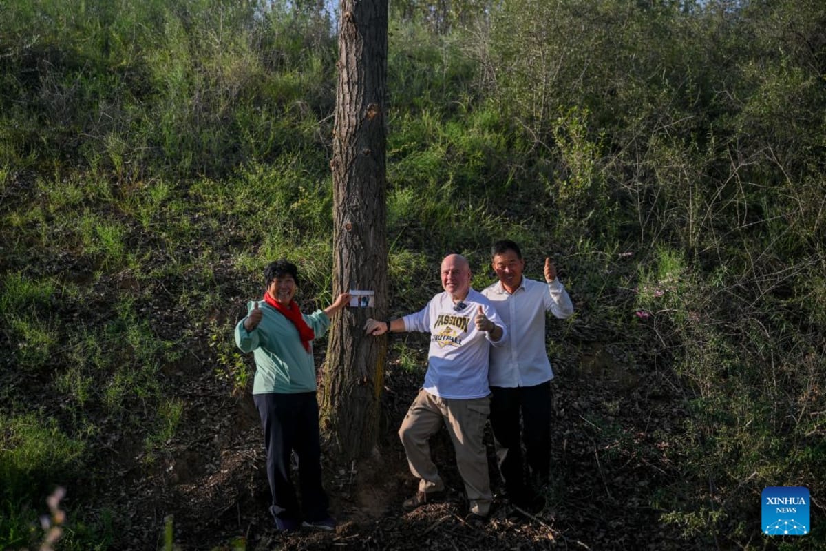 Teacher Reunites With Farmer Who Turned Desert Into Forest - Image 3
