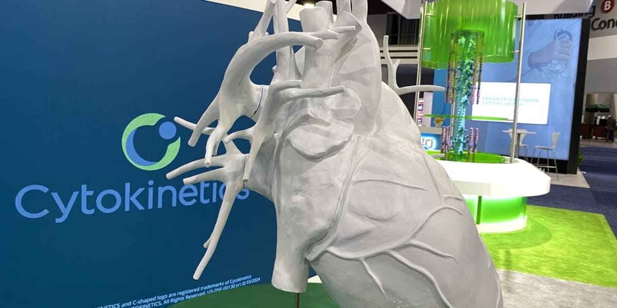 New Heart Drug Brings Hope to 260,000 Americans - Image 2