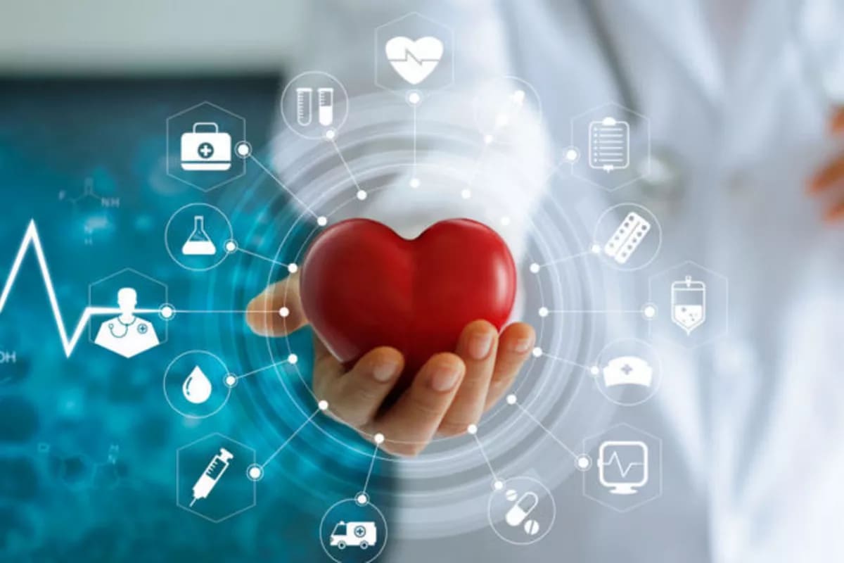 Kyrgyzstan Performs First Minimally Invasive Heart Valve Surgery - Image 2